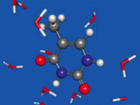 solvation_tmp2-2